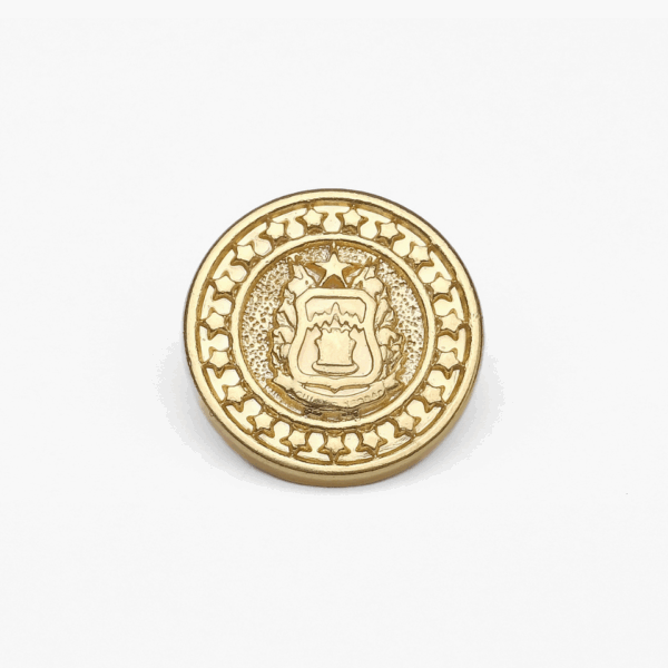 6 Botão Agulhas Negras 22mm - Terminal Costura